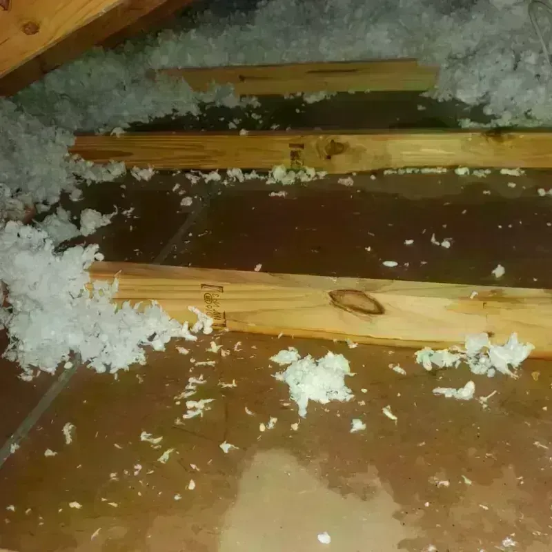 Attic Water Damage in Wilson County, NC