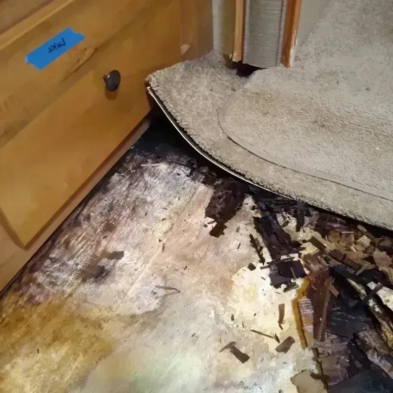 Wood Floor Water Damage in Wilson County, NC